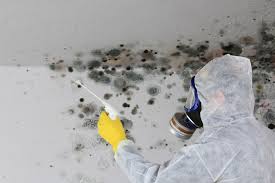 Best Asbestos and Lead Testing During Mold Inspection  in Wilton Center, CT